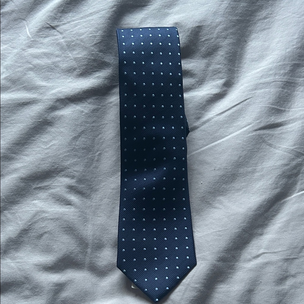 Zara Navy Blue Polka Dot Tie